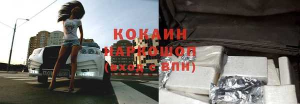 стаф Алексин