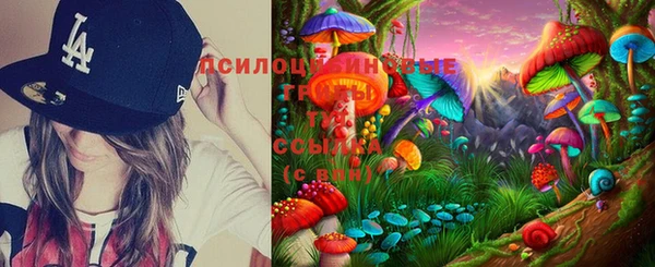 стаф Алексин