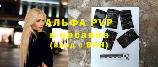 стаф Алексин